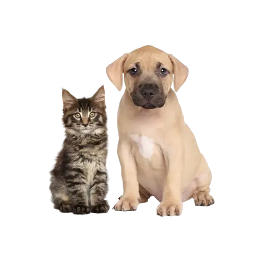 HalloPets