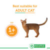 NATURES PROTECTION Indoor Cat Food 1 Year & Older 2kg - Gambar 3