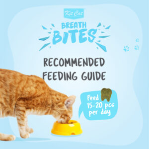 Snack kucing, kitcat snack, kit cat snack, snack pembersih gigi kucing, dental cat, dental cat treats, kit cat breath bites, snack kucing terbaik