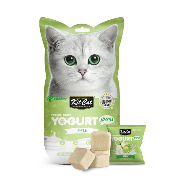 KIT CAT Freeze Dried Yogurt Yums Apple