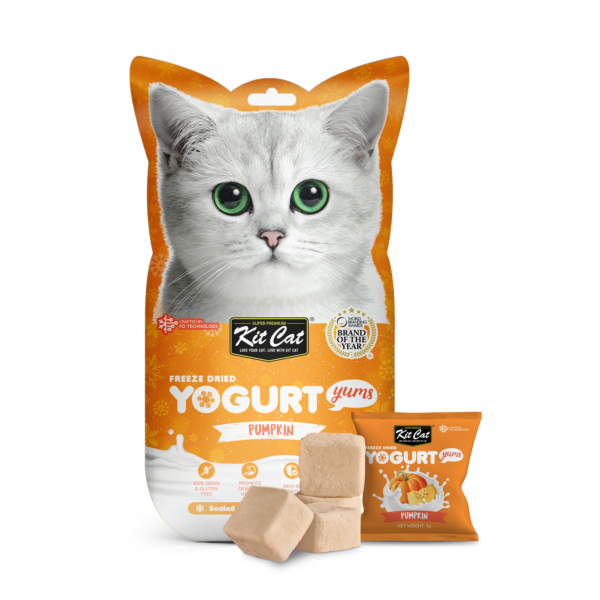 KIT CAT Freeze Dried Yogurt Yums Pumpkin