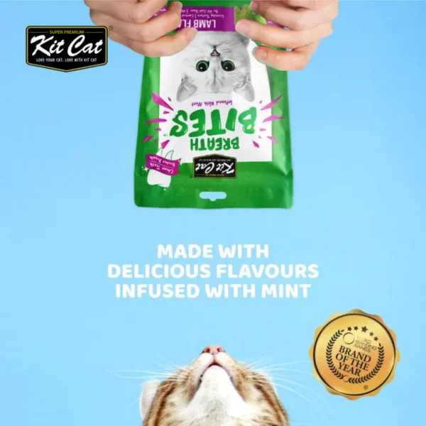 Snack kucing, kitcat snack, kit cat snack, snack pembersih gigi kucing, dental cat, dental cat treats, kit cat breath bites, snack kucing terbaik