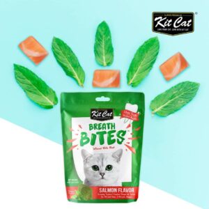 Snack kucing, kitcat snack, kit cat snack, snack pembersih gigi kucing, dental cat, dental cat treats, kit cat breath bites, snack kucing terbaik