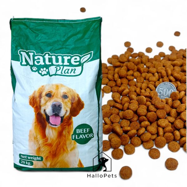 NATURE PLAN Dog Food Beef Flavor Repack 1Kg Makanan Anjing