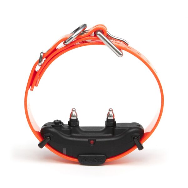 DOGTRA ARC880AD Additioanal Rx Orange Dog Training E-Collar - Gambar 3