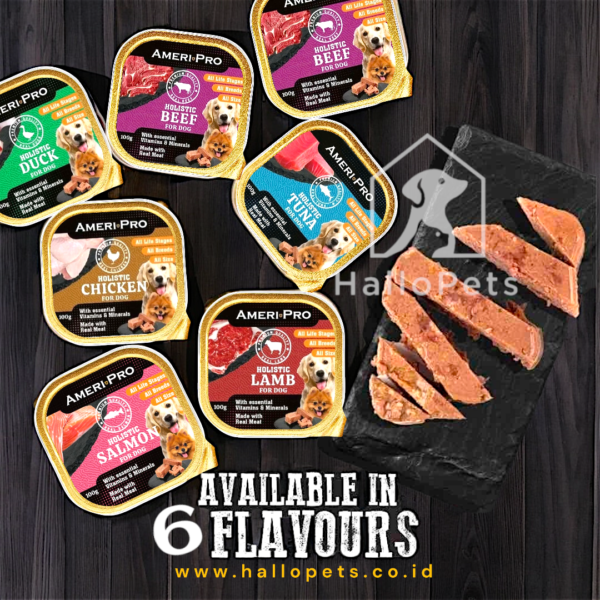 AmeriPro dog food, Ameripro Tray Dog Food, ameripro holistic, dog food, makanan anjing, dog food