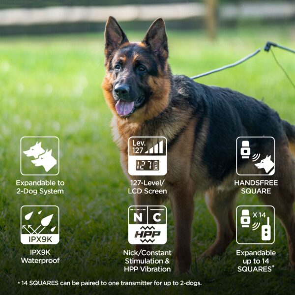DOGTRA ARC Handsfree Dog Training E-Collar with HANDSFREE - Gambar 5