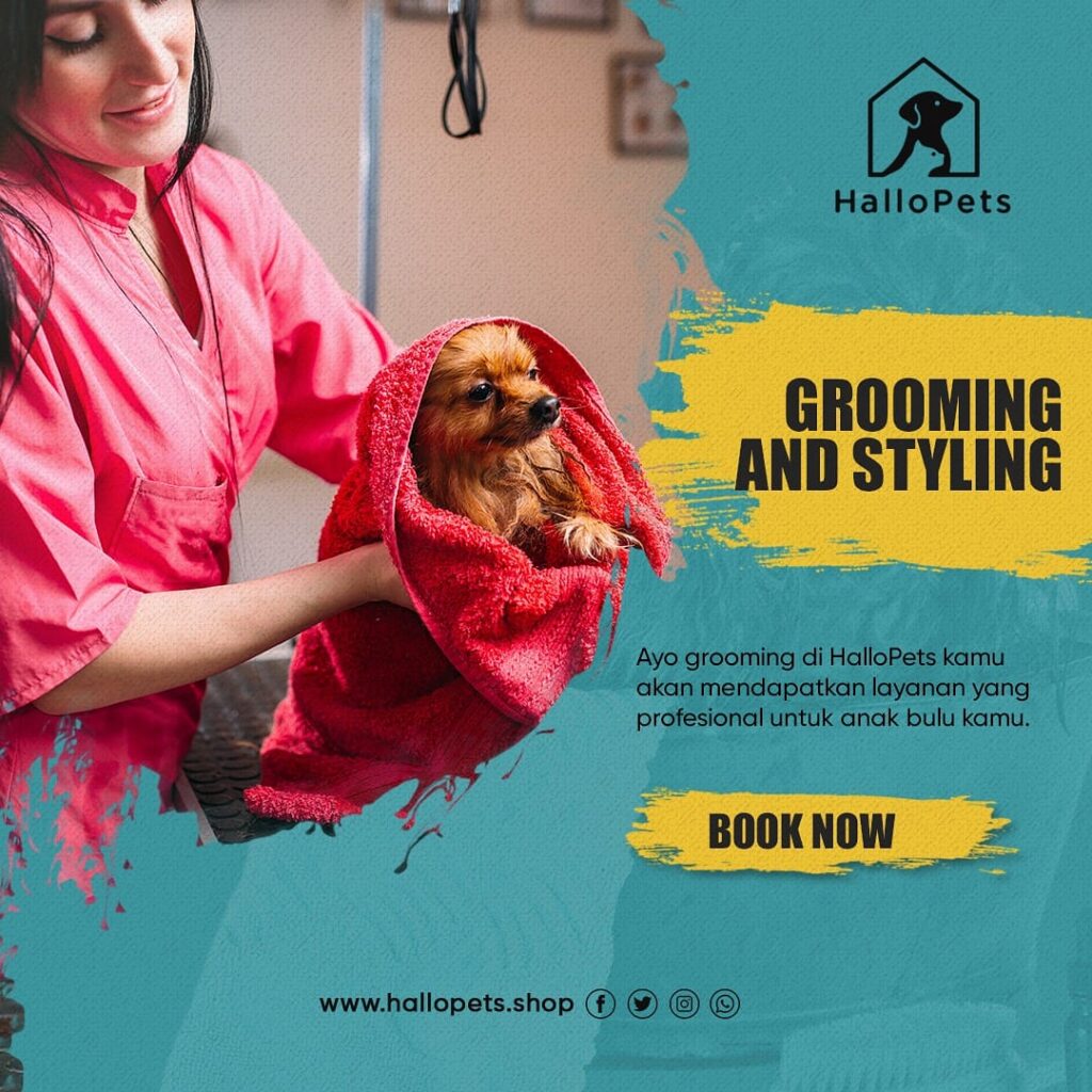Grooming terbaik depok, grooming kucing depok, grooming anjing depok, grooming spa, premium grooming depok, salon kucing depok, salon anjing depok