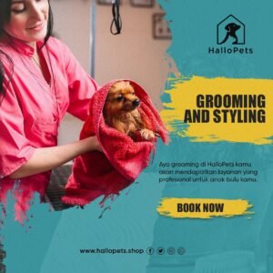 Grooming terbaik depok, grooming kucing depok, grooming anjing depok, grooming spa, premium grooming depok, salon kucing depok, salon anjing depok