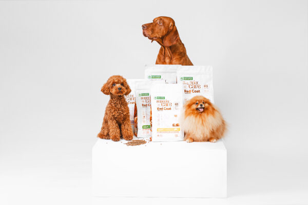 NATURES PROTECTION superior care dry grain free food for adult dogs of small breeds with red coat, with lamb 1.5 kg - Gambar 5