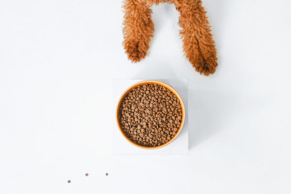 NATURES PROTECTION superior care Sample Red Coat Grain Free Salmon Adult Small Breed dry food for dogs 1,5 kg - Gambar 7