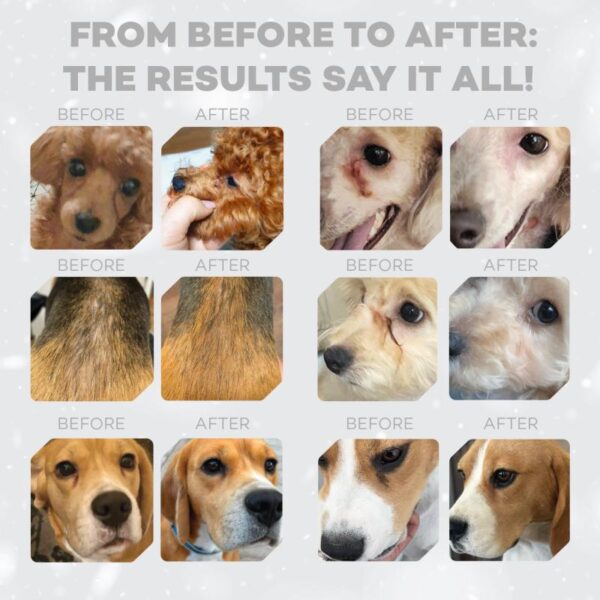 NATURES PROTECTION superior care Sample Red Coat Grain Free Salmon Adult Small Breed dry food for dogs 1,5 kg - Gambar 3