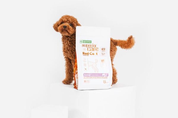 NATURES PROTECTION superior care dry grain free food for junior dogs of small breeds with red coat, with salmon 1,5 Kg - Gambar 3