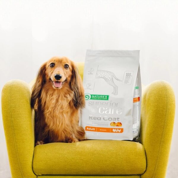 NATURES PROTECTION superior care dry food for adult, all breed dogs with red coat with poultry 1,5 Kg - Gambar 4