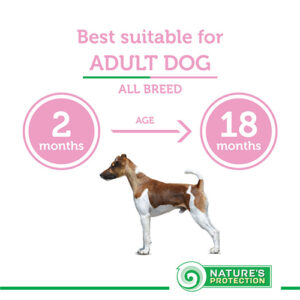 NATURE'S PROTECTION dry food for junior all breed dogs with lamb