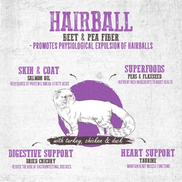 ABSOLUTE Holistic Hairball Turkey, Chicken & Duck Grain-Free Dry Cat Food