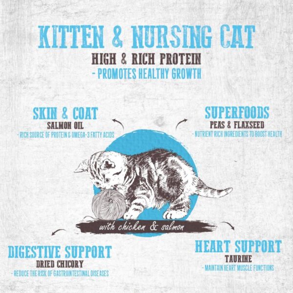 ABSOLUTE Holistic Kitten Chicken & Salmon Grain-Free Dry Cat Food - Gambar 4