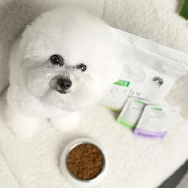 NATURES PROTECTION superior care dry grain free food for adult dog of small breeds with white coat, with insect 1,5Kg - Gambar 5