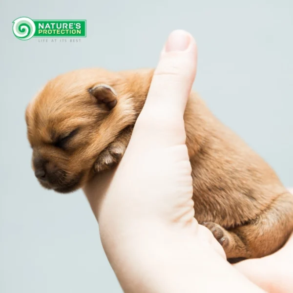 Nature’s Protection puppy dog
