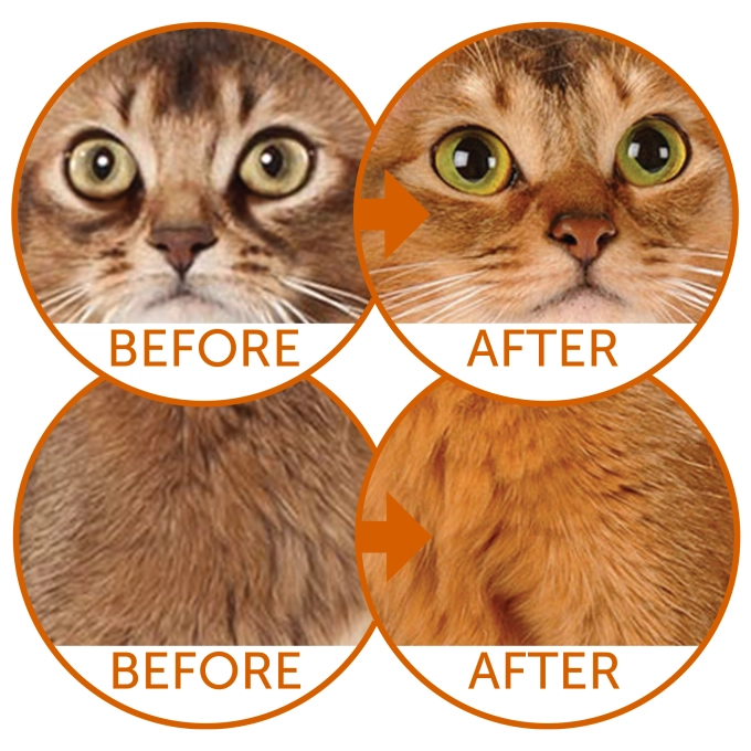 NATURES PROTECTION Superior Care Dry Grain Free Herring for Adult Red Coat Cats 1,5 kg - Gambar 4