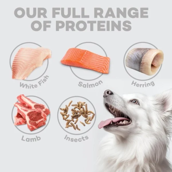 NATURES PROTECTION superior care dry food for adult, small and mini breed dogs with white coat, with lamb 1,5Kg - Gambar 8