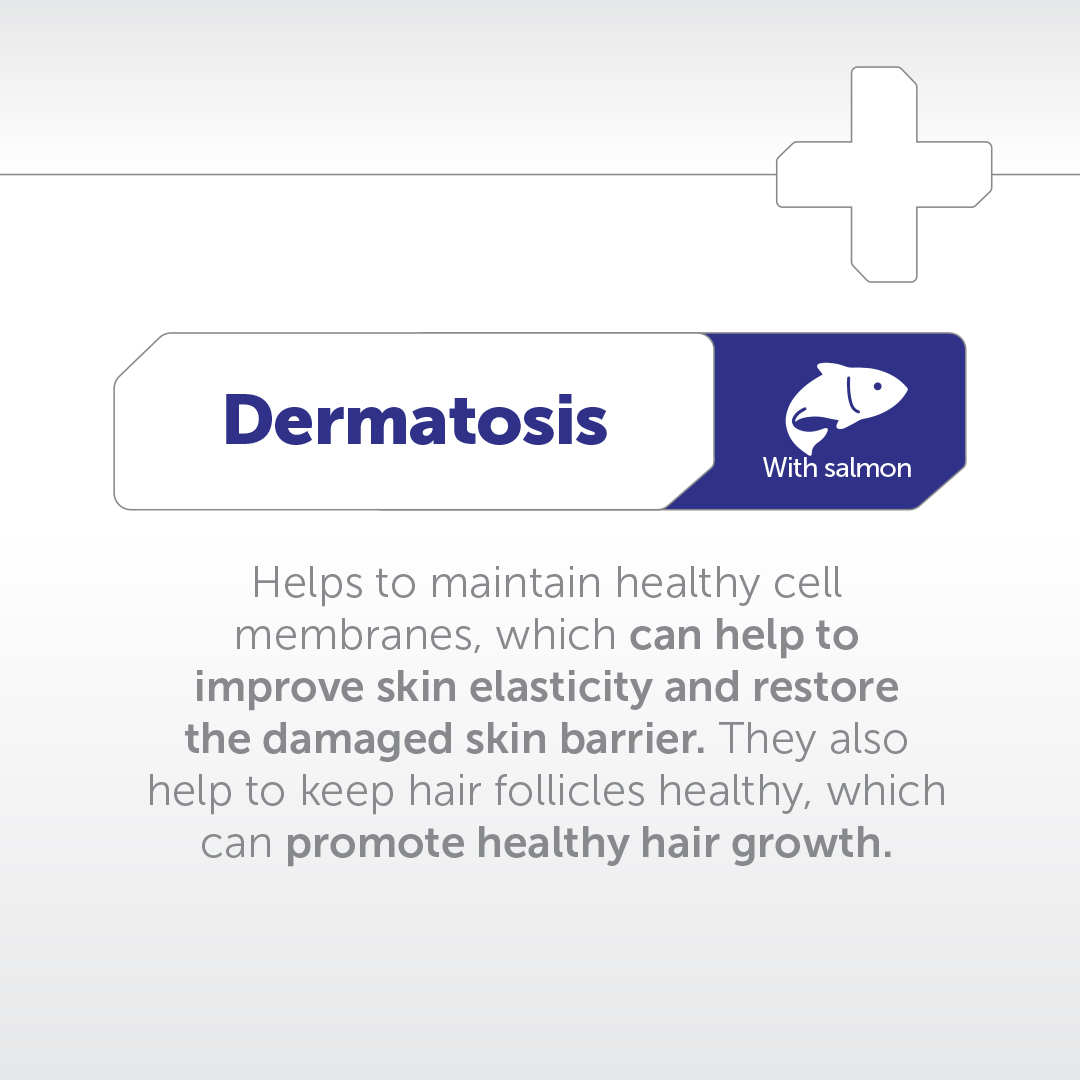 NATURES PROTECTION Veterynary Dermatosis 1.5Kg Makanan Anjing dengan Kebutuhan khusus - Gambar 3