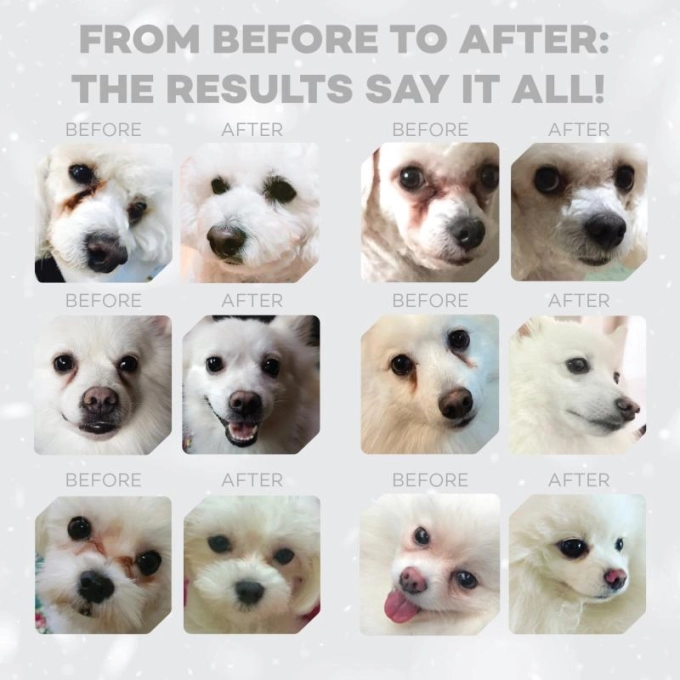 NATURES PROTECTION superior care dry food for adult, small and mini breed dogs with white coat, with lamb 1,5Kg - Gambar 3