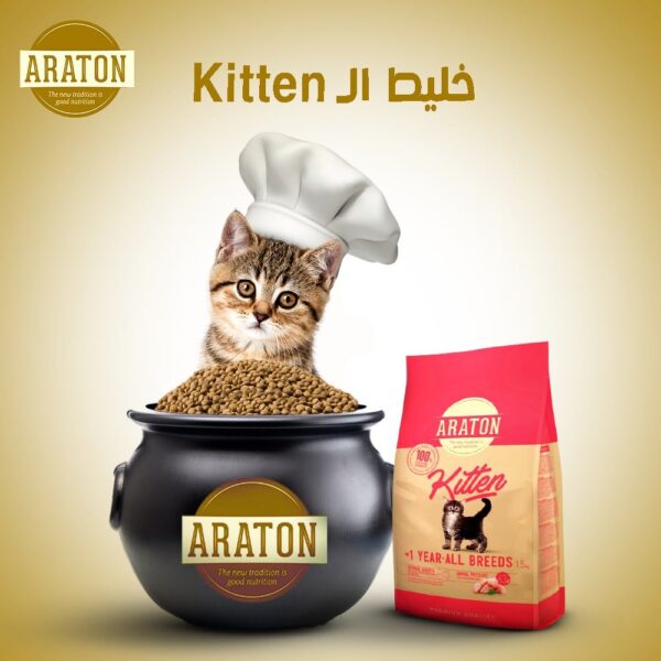 ARATON Kitten Cat Food