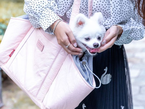 ARKIKA Pet Carrier Handbag Akami H1 RED Tas Anjing & Kucing - Gambar 6