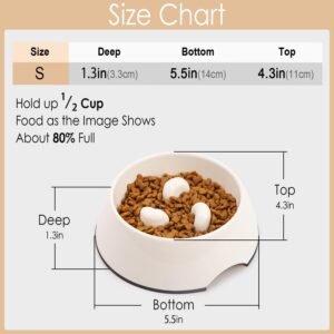 Super Design Slow Feeder Dog Bowl
