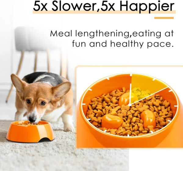 Super Design Slow Feeder Dog Bowl