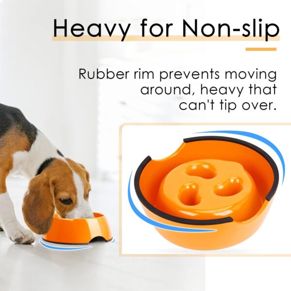 Super Design Slow Feeder Dog Bowl