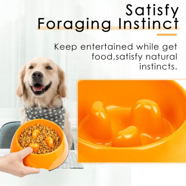 Super Design Slow Feeder Dog Bowl