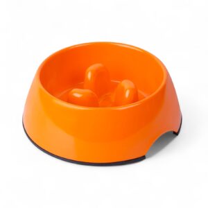 Super Design Slow Feeder Dog Bowl