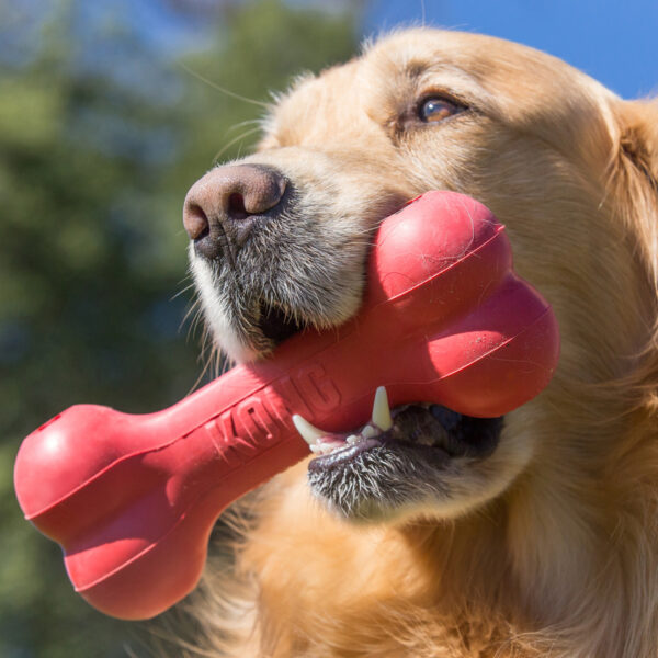 KONG Goodie Bone Dog Toy Small - Gambar 6