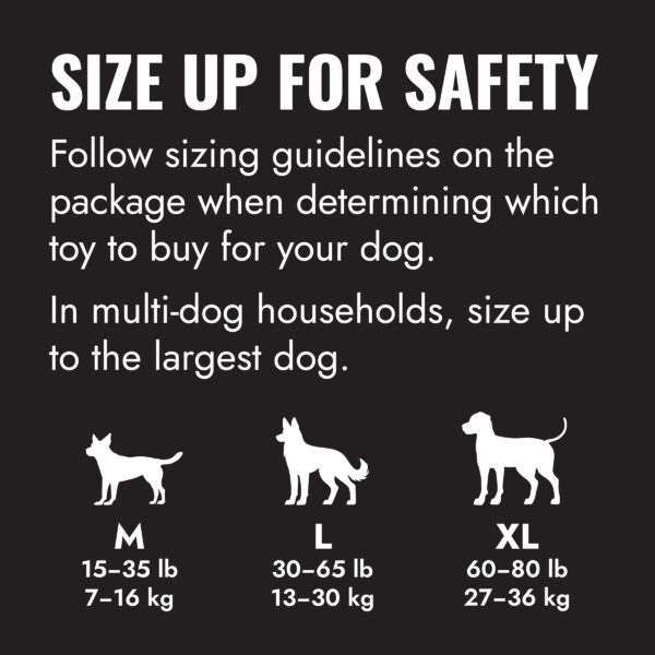 KONG Extreme Goodie Bone Dog Toy - Gambar 3