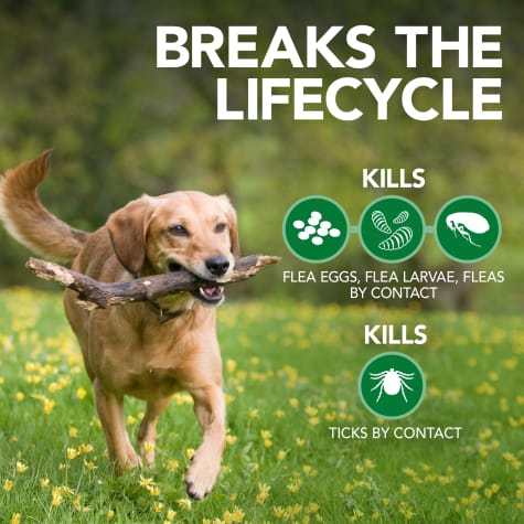 VETS BEST Flea & Tick Advanced Strength Shampoo - Gambar 3