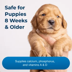 Meningkatkan Perkembangan Tulang Optimal pada Anak Anjing Usia Delapan Minggu ke Atas - Dengan Kalsium, Fosfor, dan Vitamin A & D
