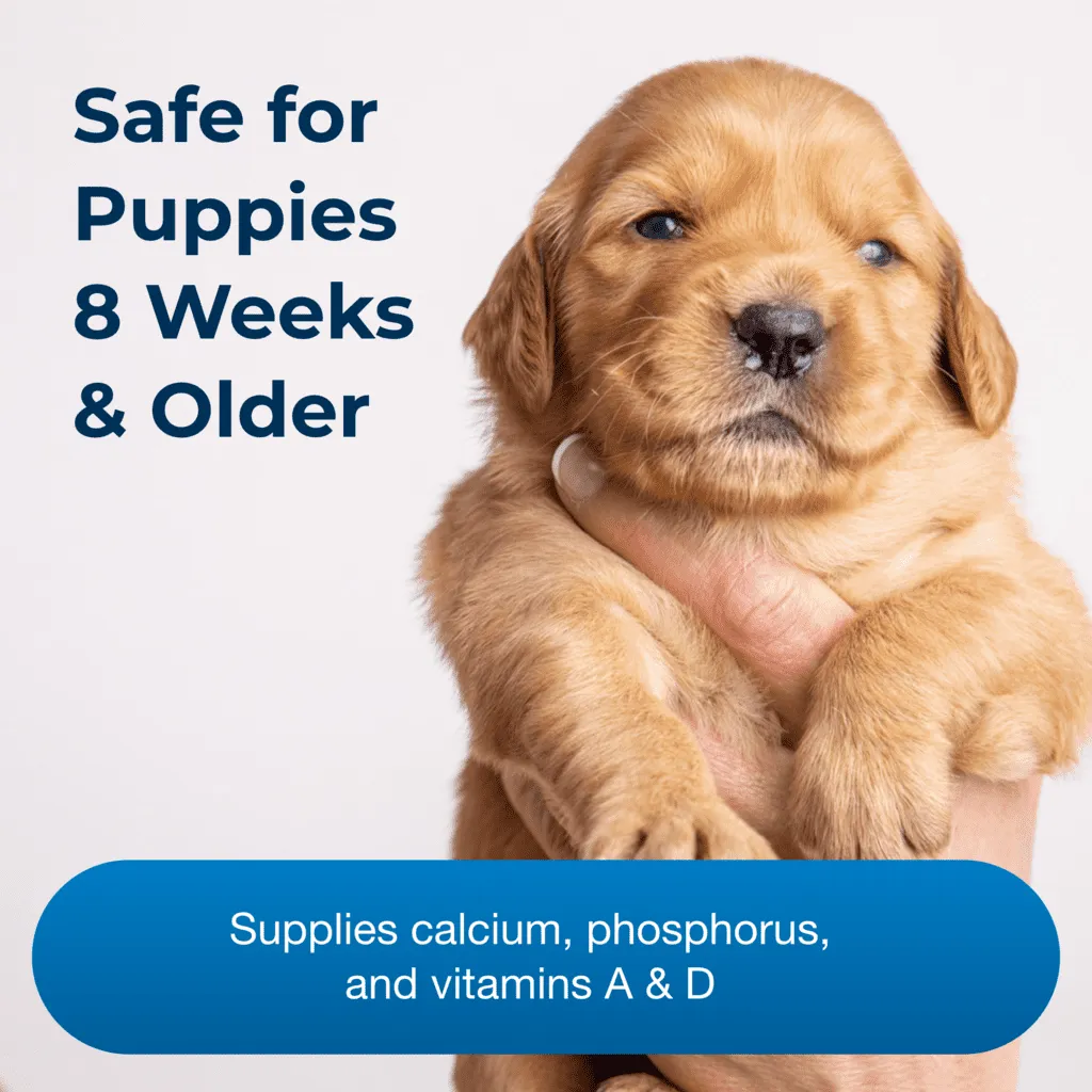 Meningkatkan Perkembangan Tulang Optimal pada Anak Anjing Usia Delapan Minggu ke Atas - Dengan Kalsium, Fosfor, dan Vitamin A & D