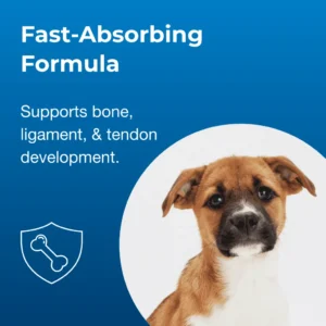 Meningkatkan Perkembangan Tulang Optimal pada Anak Anjing Usia Delapan Minggu ke Atas - Dengan Kalsium, Fosfor, dan Vitamin A & D