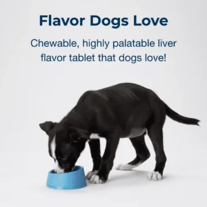 Meningkatkan Perkembangan Tulang Optimal pada Anak Anjing Usia Delapan Minggu ke Atas - Dengan Kalsium, Fosfor, dan Vitamin A & D