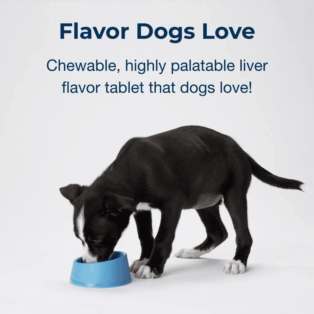 Meningkatkan Perkembangan Tulang Optimal pada Anak Anjing Usia Delapan Minggu ke Atas - Dengan Kalsium, Fosfor, dan Vitamin A & D