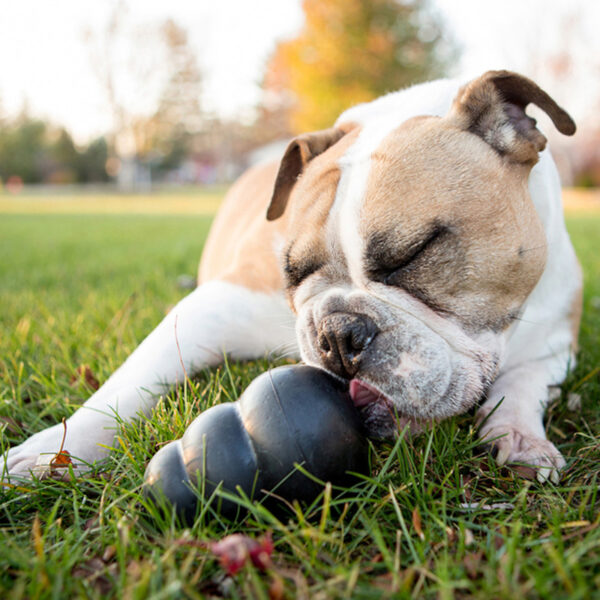 KONG Extreme Dog Toys - Gambar 3