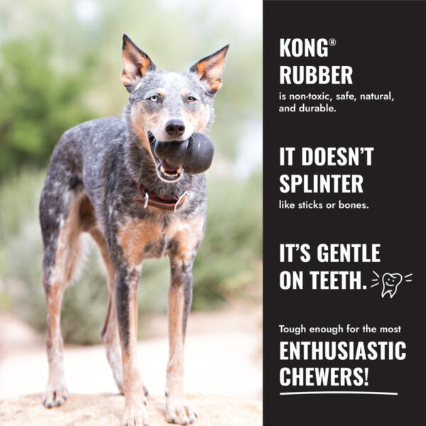 KONG Extreme Dog Toys - Gambar 5