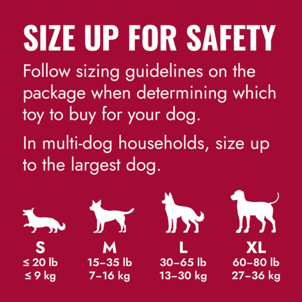 KONG Goodie Bone Dog Toy Small - Gambar 4