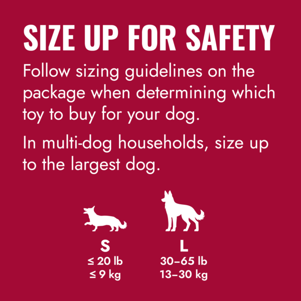 KONG Flyer Dog Toys - Gambar 7