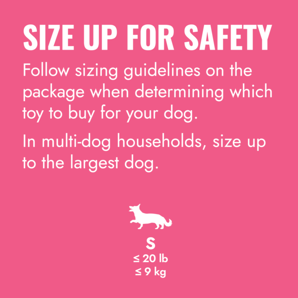 KONG Puppy Goodie Bone Small Pink - Gambar 6