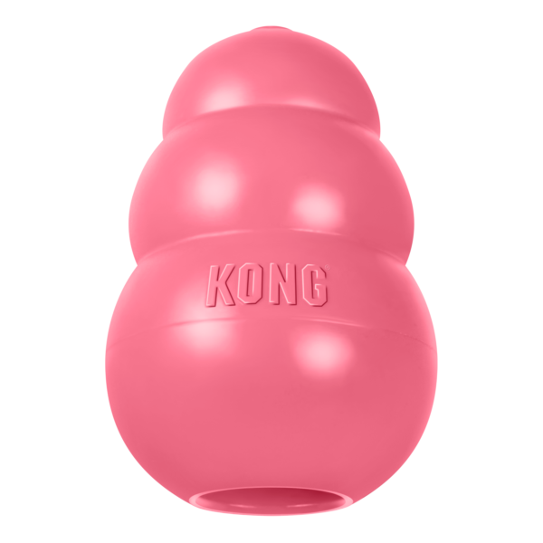 KONG Puppy Dog Toys Mainan Anak Anjing - Gambar 7