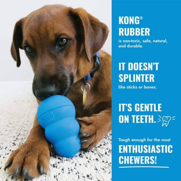 KONG Puppy Dog Toys Mainan Anak Anjing - Gambar 3