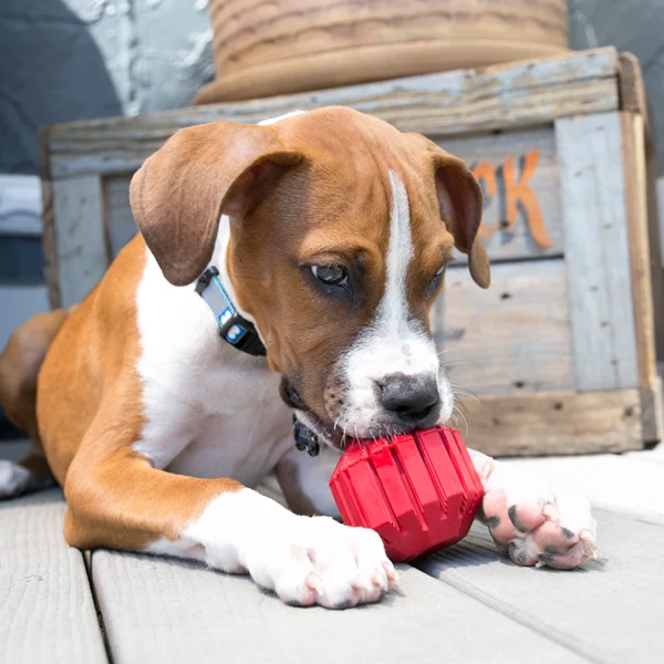 KONG Stuff-A-Ball Dog Toys - Gambar 5